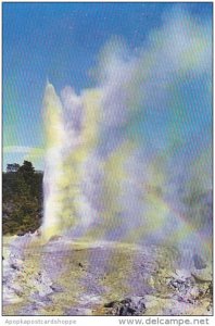 New Zealand Pohutu Geyser Whakarewarewa Rotorua