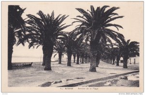 Avenue De La Plage, ARZEW (Algeria), Africa, 1910-1920s