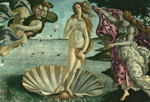 Postcard Firenze Galleria Uffizzi Sandro Botticelli Birth Venus Florence Italy