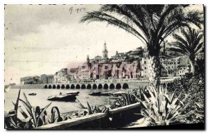 Old Postcard Menton Palmiers