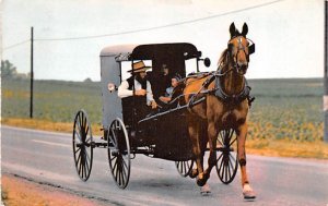 Amish Horse Drawn Carriage Portland, Pennsylvania PA  