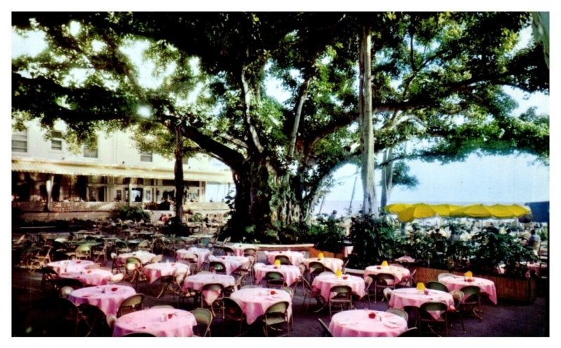 Moana Hotel World Famous Banyan Court Lanai Patio Hawaii Postcard