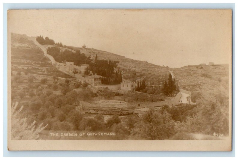 c1920's The Garden Of Gethsemane Jerusalem Israel RPPC Photo Vintage Postcard 