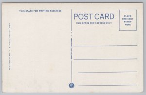 State View~Storm On Lake Shore~Lakeside Ohio~Vintage Postcard 