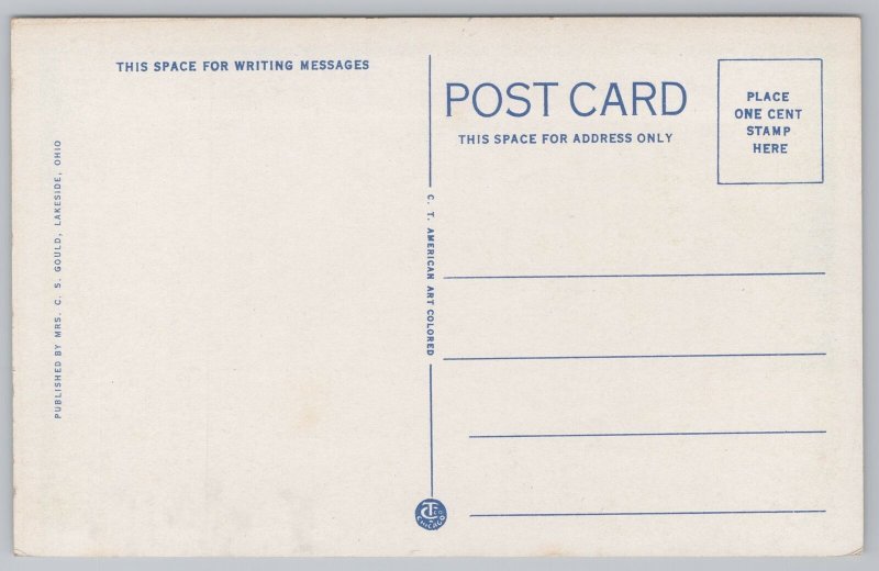 State View~Storm On Lake Shore~Lakeside Ohio~Vintage Postcard 