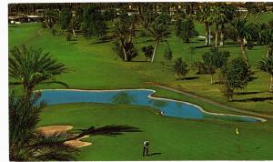 Postcard Palm Desert California Indian Wells Country Club Golf Course