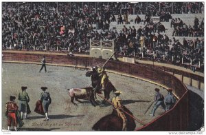Bull Fight , Mexico , 00-10s