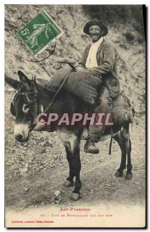 Old Postcard Folklore Pyrenees mountain type on his Donkey Mule TOP