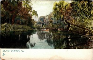 c1900's Silver Springs Raphael Tuck Florida Vintage Postcard FLA