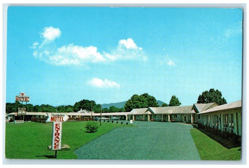 c1960's Thunderbird Motel Roadside Asheville North Carolina NC Unposted Postcard