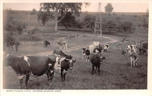 North Family Cows Real Photo Shaker Station, Connecticut USA Shaker Unused 