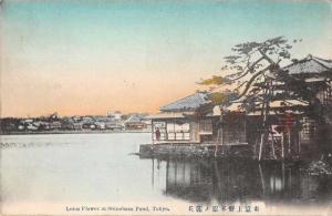 Tokyo Japan Shinobazu Pond Scenic View Antique Postcard J80119