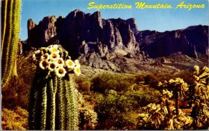 Vtg Superstition Mountains Mesa Arizona AZ Postcard