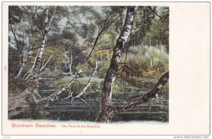 BURNHAM BEECHES, The Pond at the Beeches, Buckinghamshire, England, United Ki...