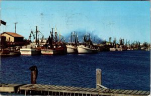 Postcard PIER SCENE Corpus Christi Texas TX AO1870