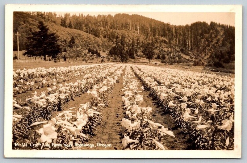 RPPC Real Photo Postcard - Croft Lily Farm - Brookings, Oregon