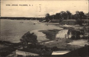 Paulsboro New Jersey NJ Bird's Eye View Vintage Postcard