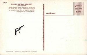 Archaeology Dinosaur National Monument Fossils Bones Postcard