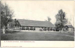 US Salmon Fish Hatchery, Sacramento, California 1910s Kropp Antique Postcard