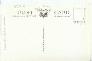 Devon Postcard - Sidmouth From Salcombe Hill - Real Photograph - Ref 15963A