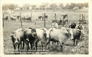 RPPC Furious Brahma Bulls Ready for Usual Rodeo Victims, Stryker Fort Worth TX