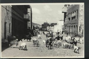 Yemen Postcard - Aden - Scene at Maalla   RS15742