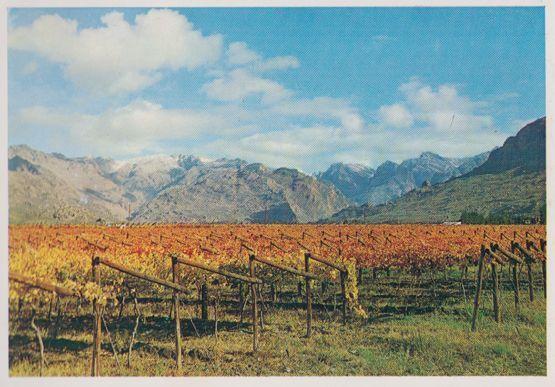 Mobil Service Station Calendar Hex River Valley South Africa Postcard