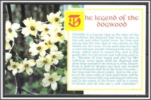 The Legend Of The Dogwood - [MX-136]