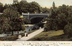 Walk Under Bridge, Prospect Park, Brooklyn, N.Y., 1906 Postcard, Used