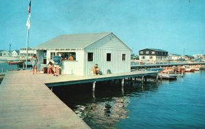 Pier At Dewey Beach Crabbing Boating & Sailing Rehoboth Bay Delaware DE Postcard