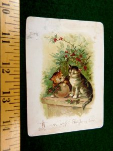 Lovely Cats Holly Berries Winter Joyful Christmas Time Victorian trade Card F42