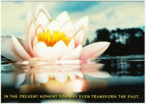 The Present Moment Thich Nhat Hanh Buddhism Quote Postcard #2 Lotus Flower