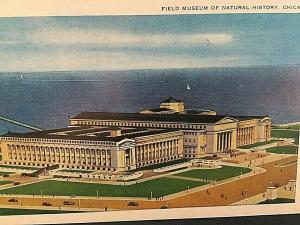 Postcard  Field Museum of Natural History in Chicago, IL    T1