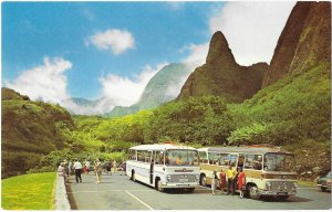 Buses & Tourists at Iao Needle State Park Volcanic Spine Maui Hawaii