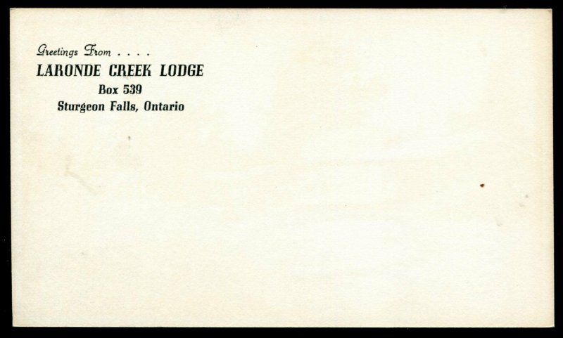 h4060 - STURGEON FALLS Ontario Postcard 1920s Laronde Creek Lodge