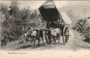 PC SINGAPORE, BULLOCK CART, Vintage Postcard (B42270)