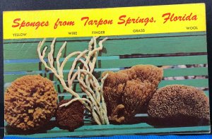 Florida Tarpon Springs Vintage Postcard 1964