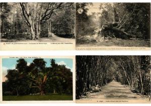 TREES MOSTLY FRANCE 50 CPA  Pre-1940 (L3417)