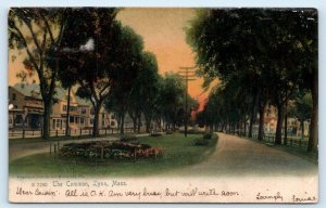 LYNN, MA Massachusetts ~ Essex County ~ Street Scene- The COMMON 1905 Postcard