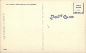 Worcester MA JJ Newberry Co Store Storefront LINEN Postcard