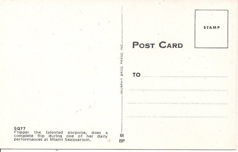 Miami FL, Flipper, TV Porpoise, Beautiful Woman, Swimsuit, 1960s Seaquarium