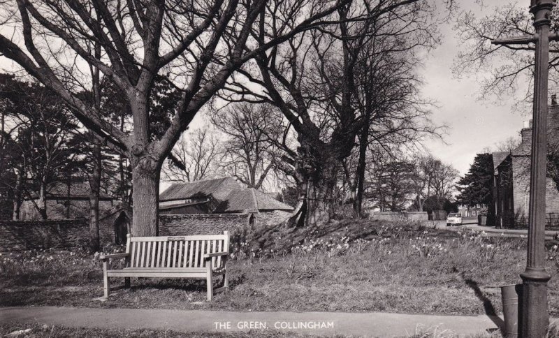 Deserted Park Bench at Collingham Green Yorkshire Real Photo Postcard