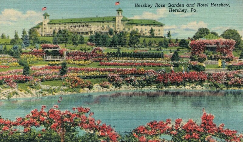 USA Hershey Rose Garden and Hotel Hershey Linen Postcard 07.55