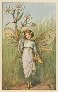 Stitchwort Flower Fairy Antique Book Stunning Postcard