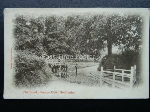 hertfordshire HODDESDON Grange Lane THE BROOK c1904 Postcard by Chester Vaughan