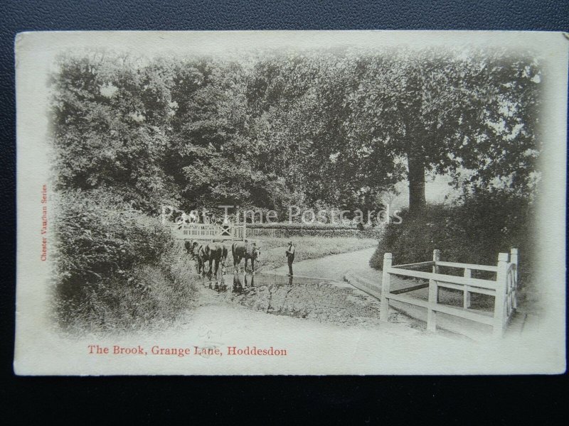 hertfordshire HODDESDON Grange Lane THE BROOK c1904 Postcard by Chester Vaughan