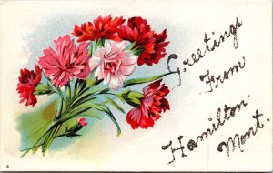 VINTAGE POSTCARD GREETINGS FROM HAMILTON MONTANA GLITERRED FLOWERS c. 1910