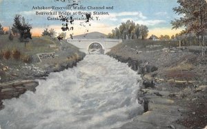 Ashokan Reservoir Beaverskill Bridge Browns Station, New York