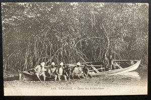 Mint French Senegal Real Picture Postcard Expeditionaries On The mangroves 