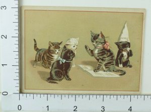 Victorian Trade Card Anthropomorphic Cat Teaching Kittens Dunce Hat On Kitty F64